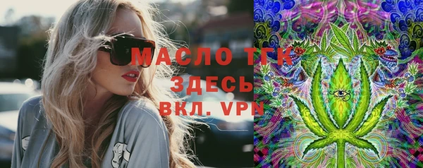 винт Вяземский
