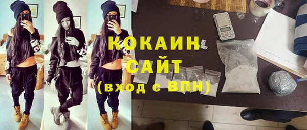 крисы Вязники