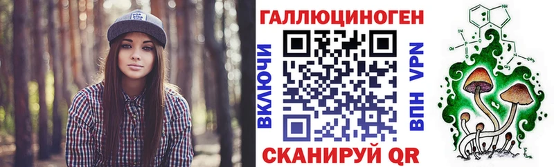 купить   Плёс  Псилоцибиновые грибы Cubensis 